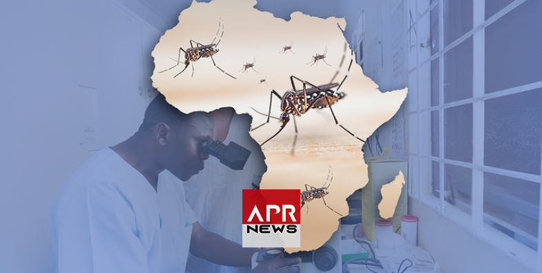 l-eradication-du-paludisme-pourra-booster-l-economie-africaine-de-pres-de-16-mrds