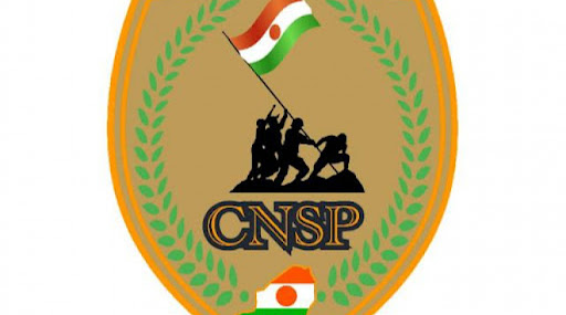 Logo CNSP