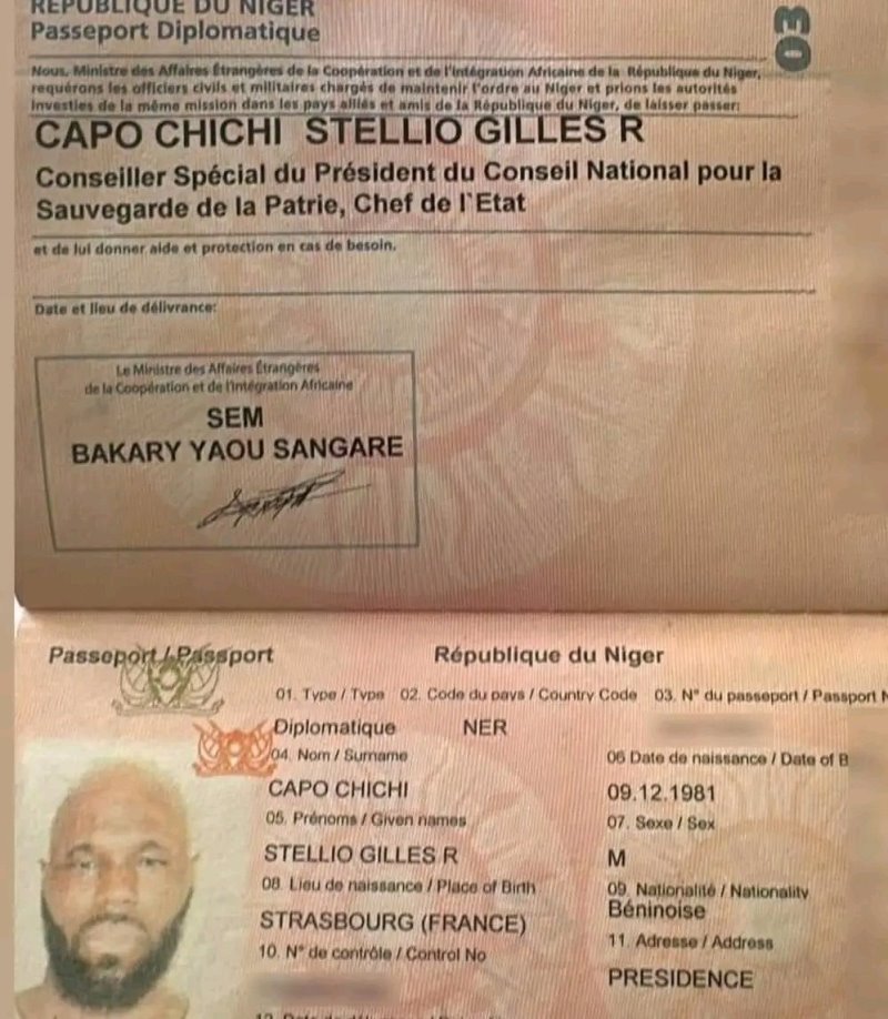 Passeport_nigerien_Kemi_Seba_Ne.jpg